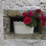 Toncic Benažići