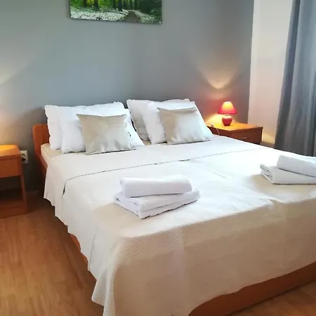 Apartament Toncic *