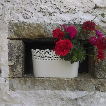 Toncic Benažići